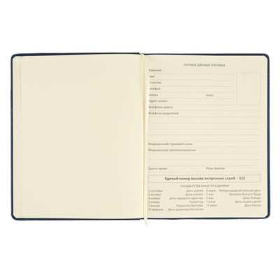 Дневник школьный для 1-11 классов Dark blue, твёрдая обложка, искусственная кожа, резинка, ляссе, 48 листов