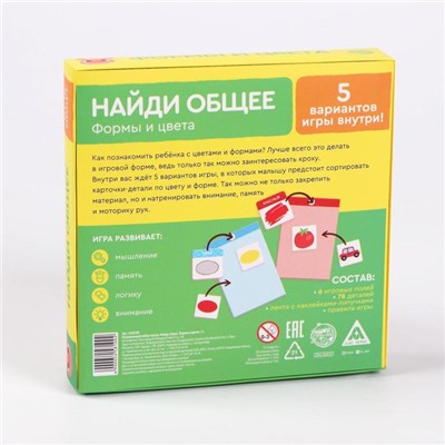 Развивающий набор-сортер «Найди общее. Формы и цвета», 3+