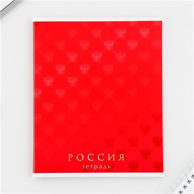 Тетрадь в клетку, 48 л., А5, на скрепке, блок №1 «Россия» МИКС