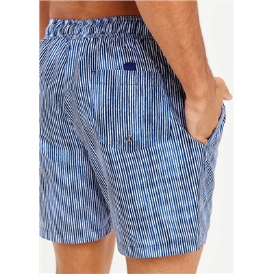 Stripe Regular Swim Shorts