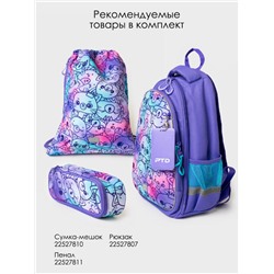 Пенал для девочки