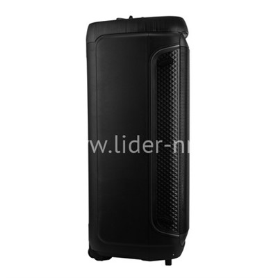 Колонка 10" (30-30 DANCE BOX 1300 NEW) динамик 2шт/10" ELTRONIC с TWS