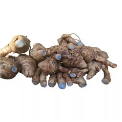 Корни Черной куркумы (1 кг), Kala Haldi Bulb, произв. Radhe Herbals Trading Company