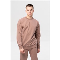 Джемпер мужской 23-392M3-31 капучино