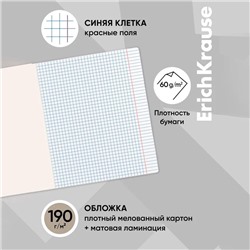 Тетрадь 48 листов в клетку, ErichKrause "Балет", обложка мелованный картон, матовая ламинация, блок офсет 100% белизна, МИКС (1 вид в спайке)