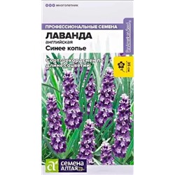 Семена Лаванда узколистная Синее копье, арт.: 10601