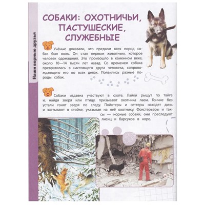 Уценка. Александра Смирнова: Домашние животные