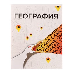 Тетрадь предметная 36 листов в клетку Calligrata «Животные мемы. География», обложка мелованная бумага, серые листы