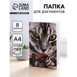 Папка для документов Docs, 8 файлов А4