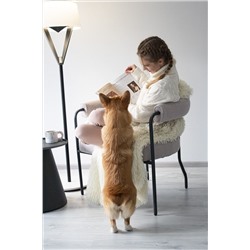 Кресло SHT-AMS120
                        светло-серый / антрацит