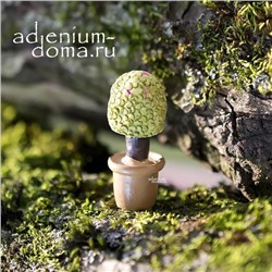 Фигурка миниатюрная САМШИТ (Buxus)