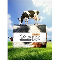 MilotaBox "Moo Box"
