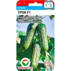 Семена Огурец Троя F1, арт.: 72464