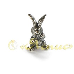 0996Фг   Роджер