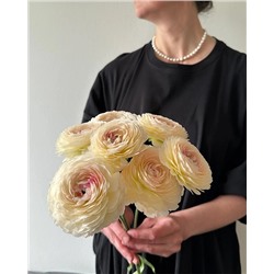 Лютик Романс Мэритайм, арт.: 74626