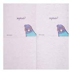 Салфетки бумажные однослойные «Жрёшь?», 24×24 см, набор 20 шт.