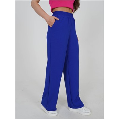 Брюки Рокси василёк Лт