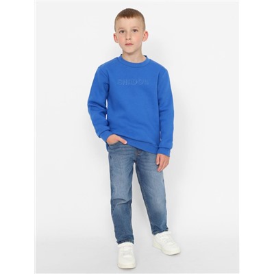 Толстовка для мальчика Cherubino CWKB 63685-42 Синий