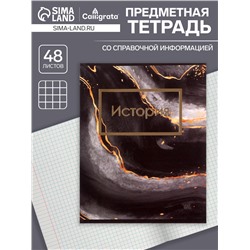 Тетрадь предметная 48 листов в клетку Calligrata, «Мрамор тёмный. История», обложка мелованный картон