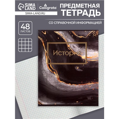 Тетрадь предметная 48 листов в клетку Calligrata, «Мрамор тёмный. История», обложка мелованный картон