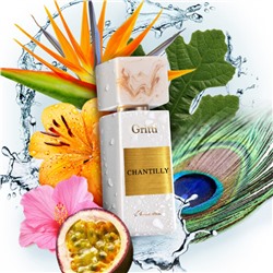 Gritti Chantilly For Women edp 100 ml