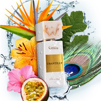Gritti Chantilly For Women edp 100 ml