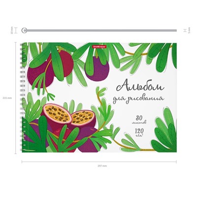 Альбом для рисования А4, 30 листов на спирали, ErichKrause Juicy Fruits, блок 120 г/м², 100% белизна, перфорация для отрыва, твёрдая подложка