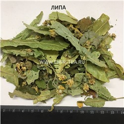 Липа (код 0171)