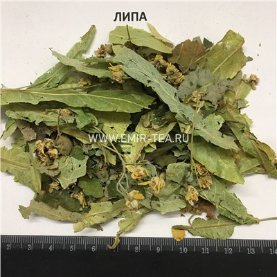 Липа (код 0171)
