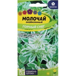 Молочай Окаймленный