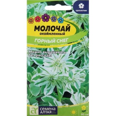 Молочай Окаймленный