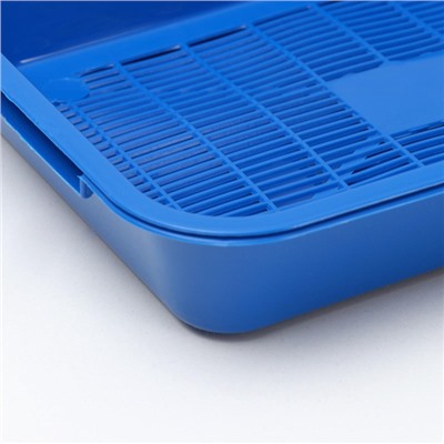 Туалет средний с сеткой 36×26×6.5 см, синий/черничный