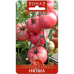 Томат Нюша