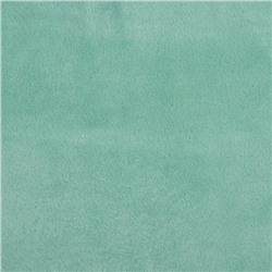 Плед с рукавами Этель цв.мятный 150*200 см,100% п/э, корал-флис 220 гр/м2
