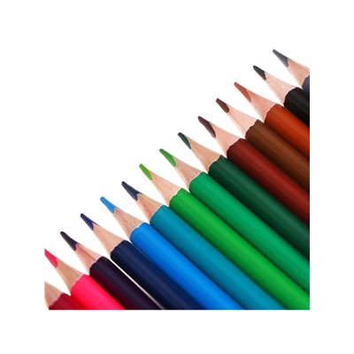 Карандаши цветные 18 цветов TOP Calligrata, супермягкие, в картонной коробке, диаметр грифеля - 3 мм, 5B