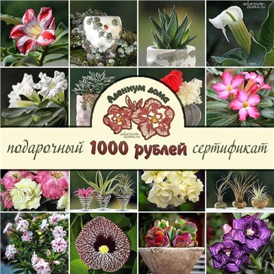 Подарочный СЕРТИФИКАТ 1000 (Электронный)