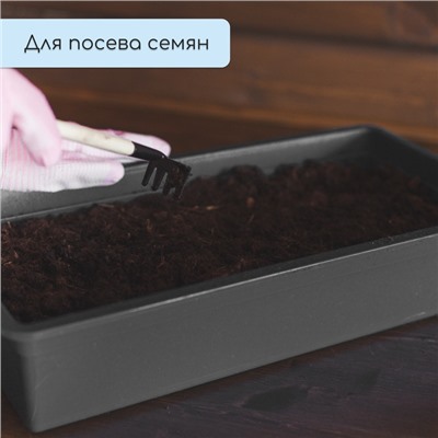 Ящик для рассады, 40 × 20 × 10 см, 4 л, пластик, МИКС