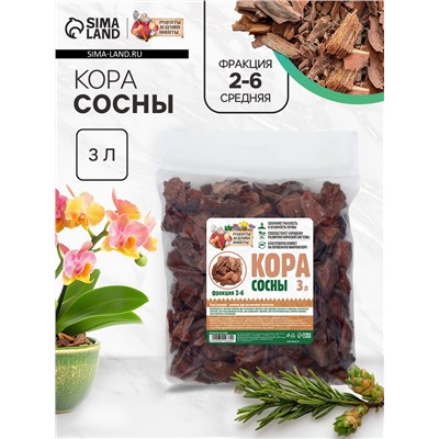 Кора сосны  "Рецепты Дедушки Никиты", фр 2-6, 3 л