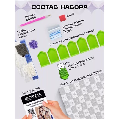 Алмазная мозаика по фото "Neon" (30*40 см)