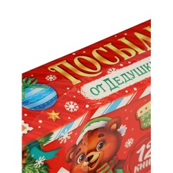 УЦЕНКА Подарок на Новый год для детей «Посылка от Дедушки Мороза», большой новогодний подарочный набор книг 12 шт., письмо деду морозу, адвент - брод�...