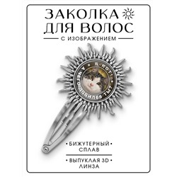 HZG-0355 Заколка Я кот. А чего добился ты?