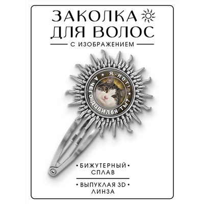 HZG-0355 Заколка Я кот. А чего добился ты?