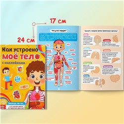Наклейки набор «Тело человека», 2 шт. по 16 стр.