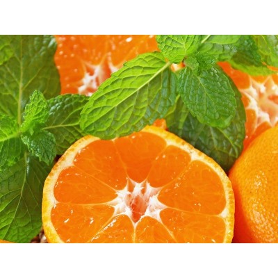 Мята Tangerine "Мандариновая" Р9