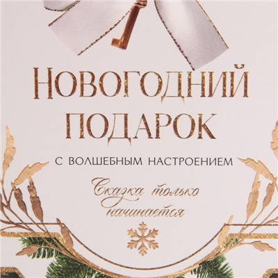 Пакет - коробка подарочный новогодний «Подарок для тебя», 23×18×11 см