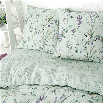 КПБ Муза поплин Арт Дизайн