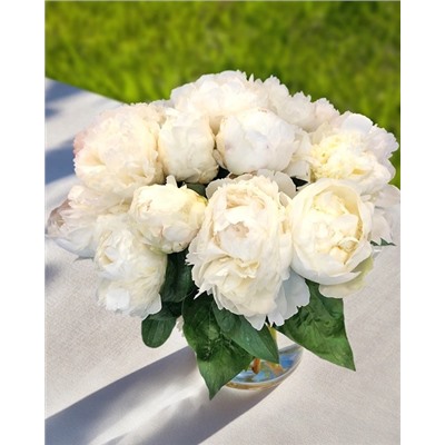 Пион Брайдл Шауэр, арт.: 74683