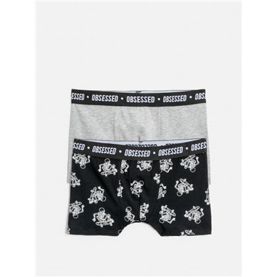 Трусы детские для мальчиков в наборе из 2 шт. Ledyanoy