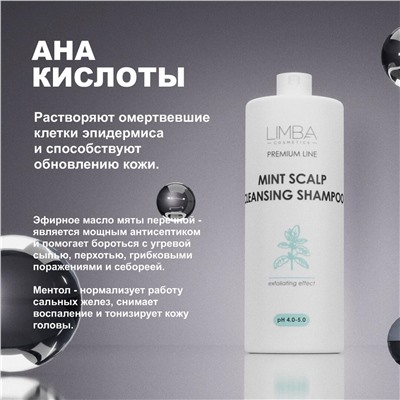 Limba Cosmetics Шампунь для кожи головы PREMIUM LINE MINT SCALP CLEANSING,1000мл (lmb25)