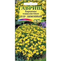 Бархатцы Лулу лимонный, арт.: 72425